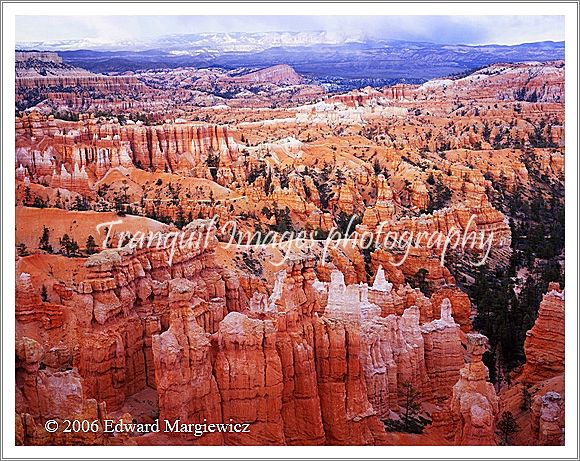 450328B   Bryce National Park 